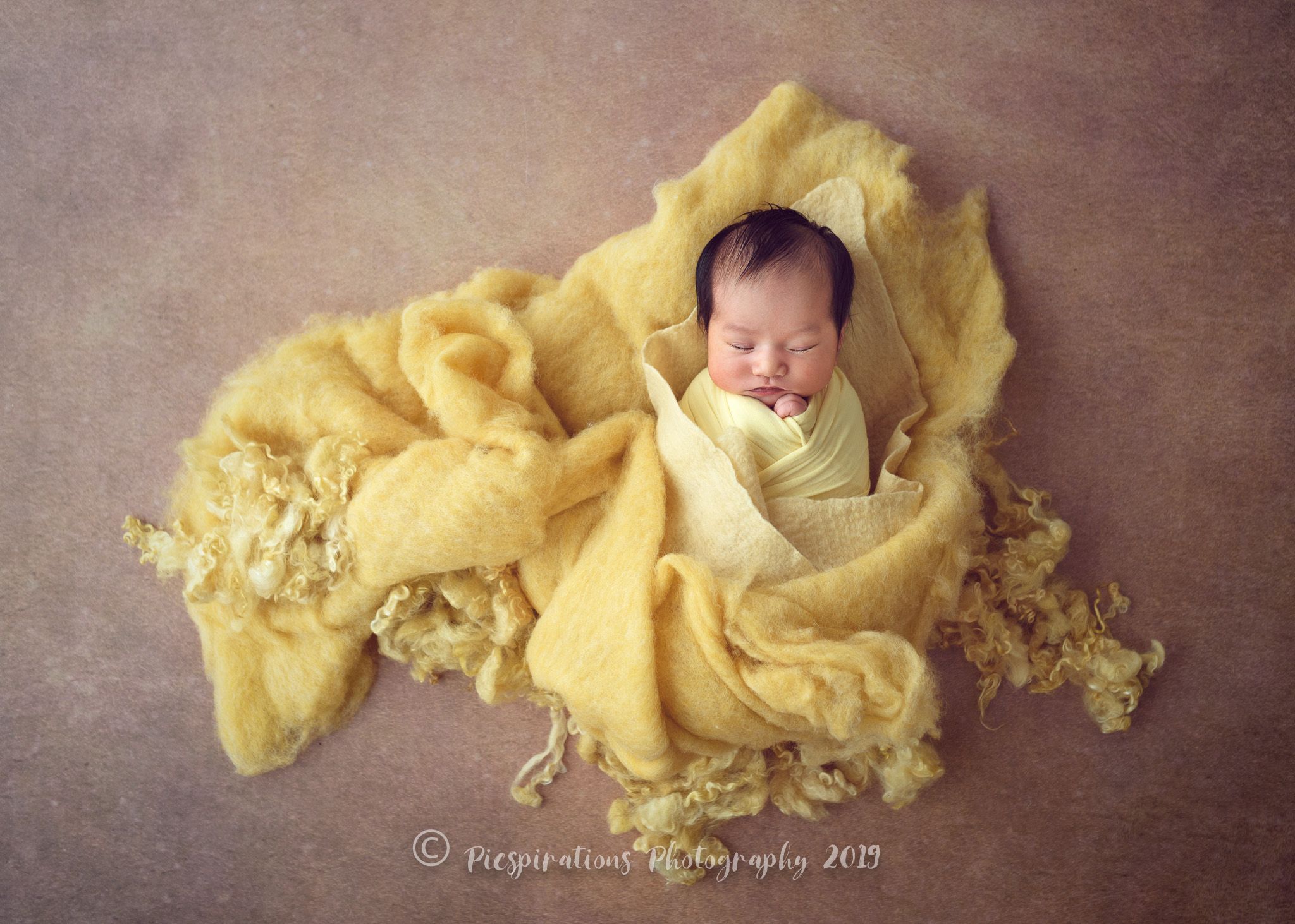 Newborn Photography - Picspirations Photography (26)
