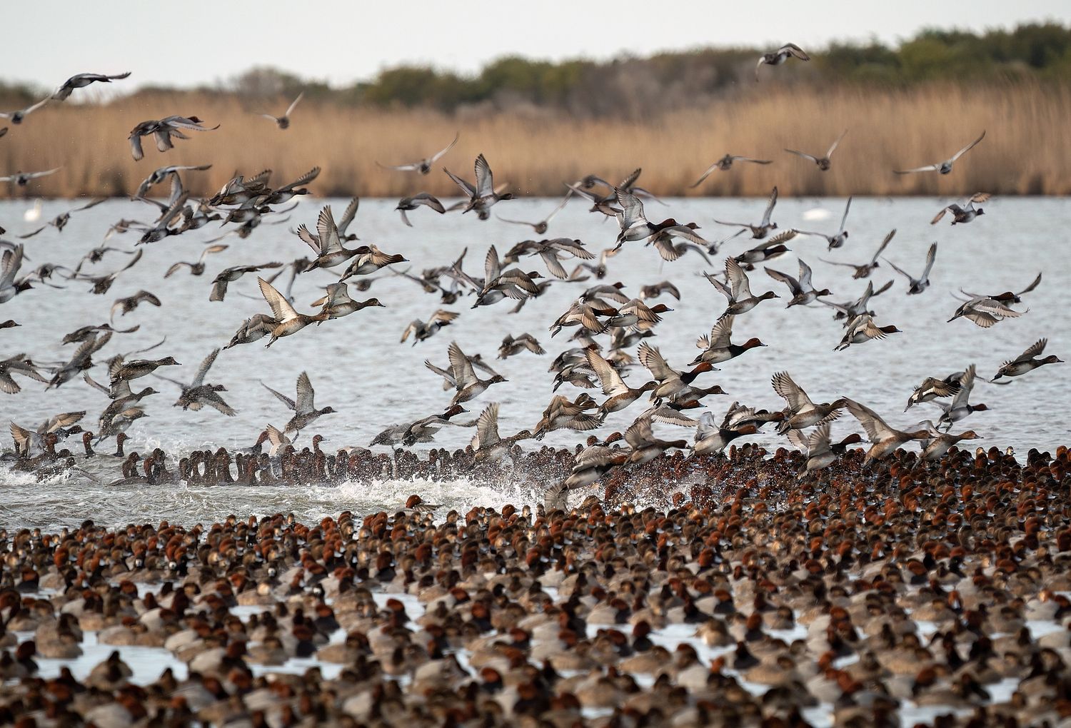 John Mauser Photography