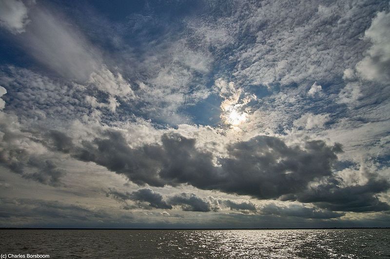 Midweek Oostelijke Waddenzee 5 dagen (4 - 8 mei 2026)
