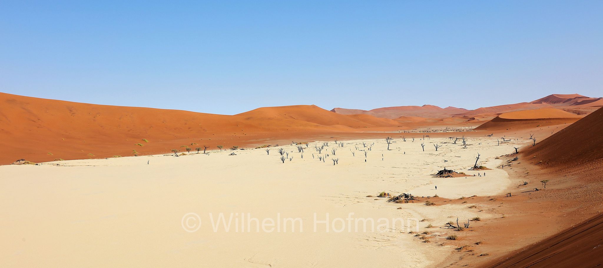 Deadvlei, DeadVlei, Dead Vlei, Dooie Vlei, Sossusvlei, Namib-Naukluft National Park, Namib-Naukluft-Park, parco nazionale di Namib-Naukluft, Namibia