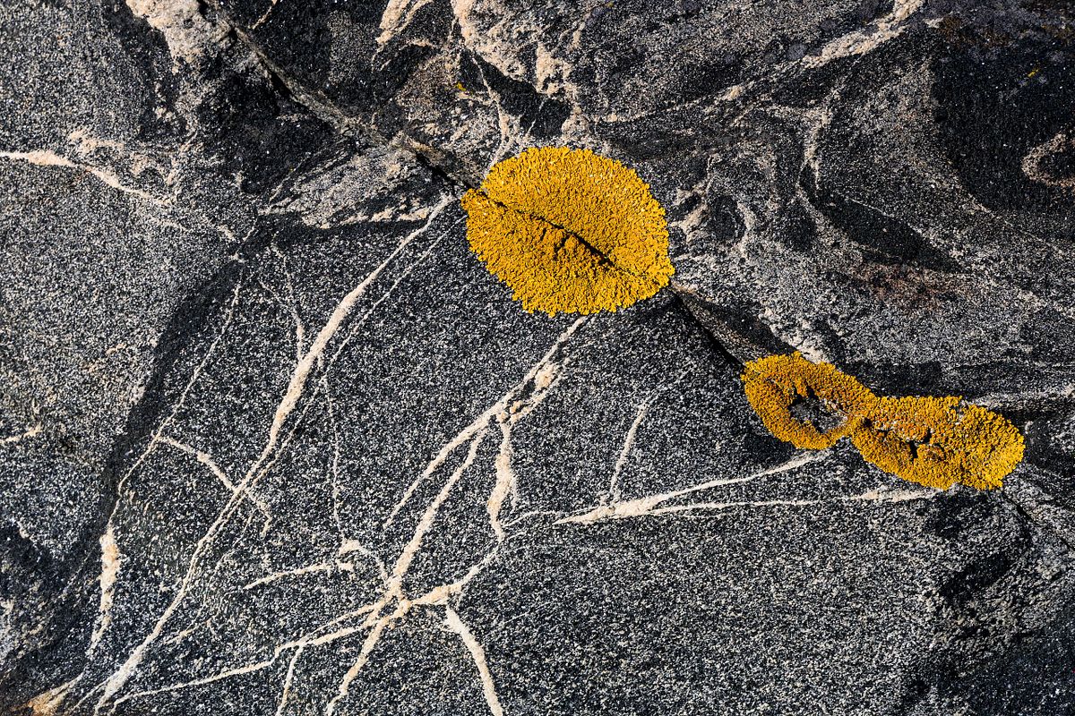 Stangnes Gea Norvegica Geopark