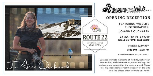 Witnessing the Wild - Opening Reception