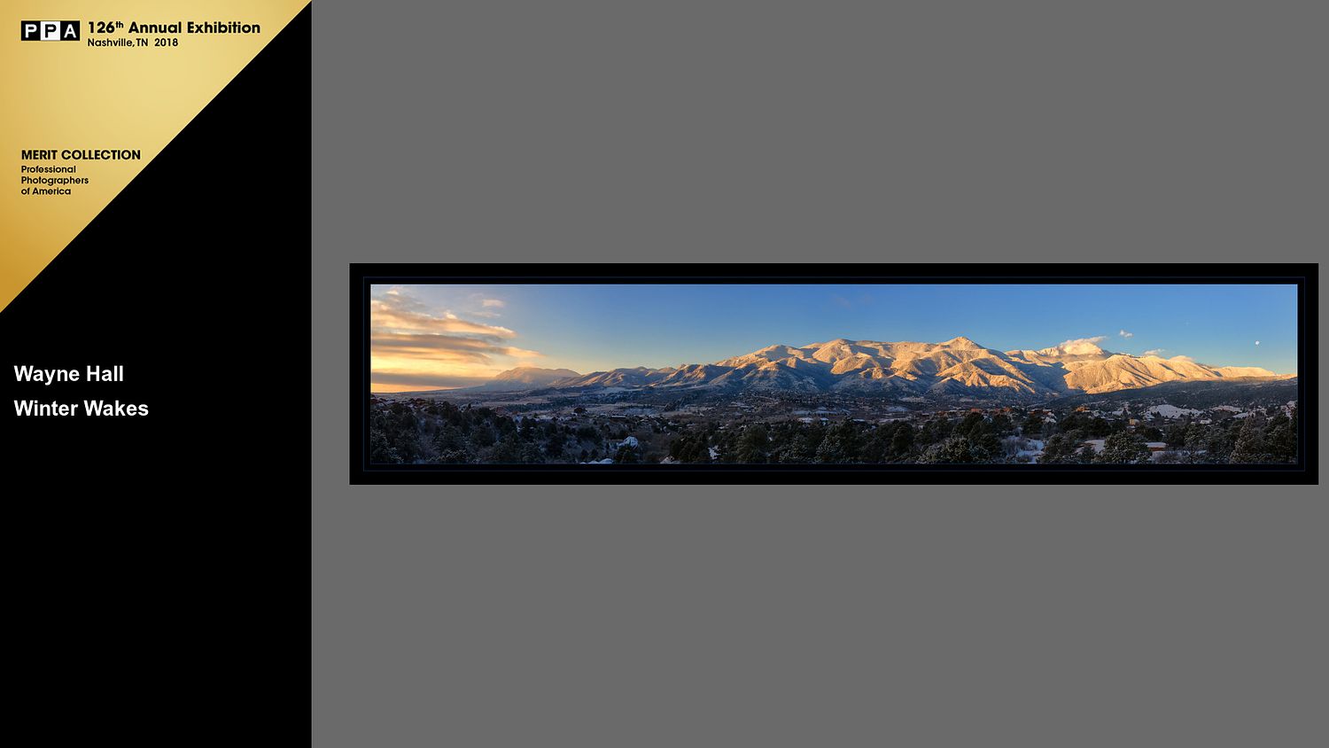 WALL Photography & Design