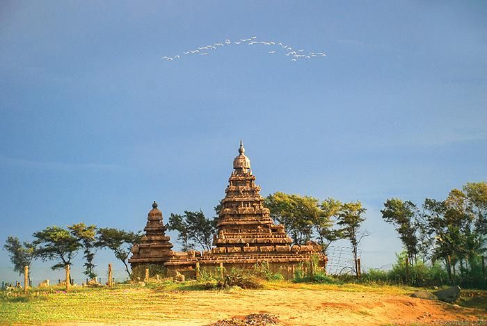 Sea Shore Temple, Mahabalipuram