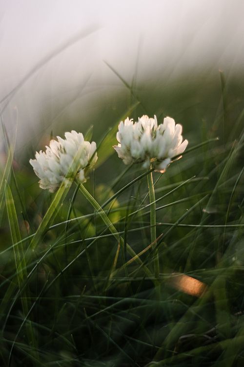 Mon univers artistique