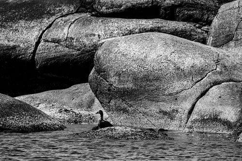 Rocky coast in Verdens Ende