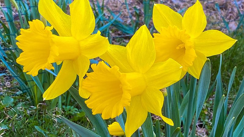 På møte frå 14:10 og resten av dagen