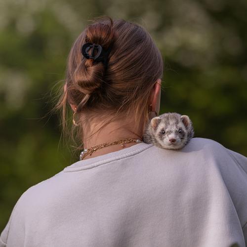 Een Fotoshoot met jouw fret