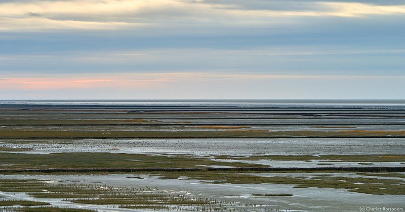 The Next Step (20 - 22 november 2026)