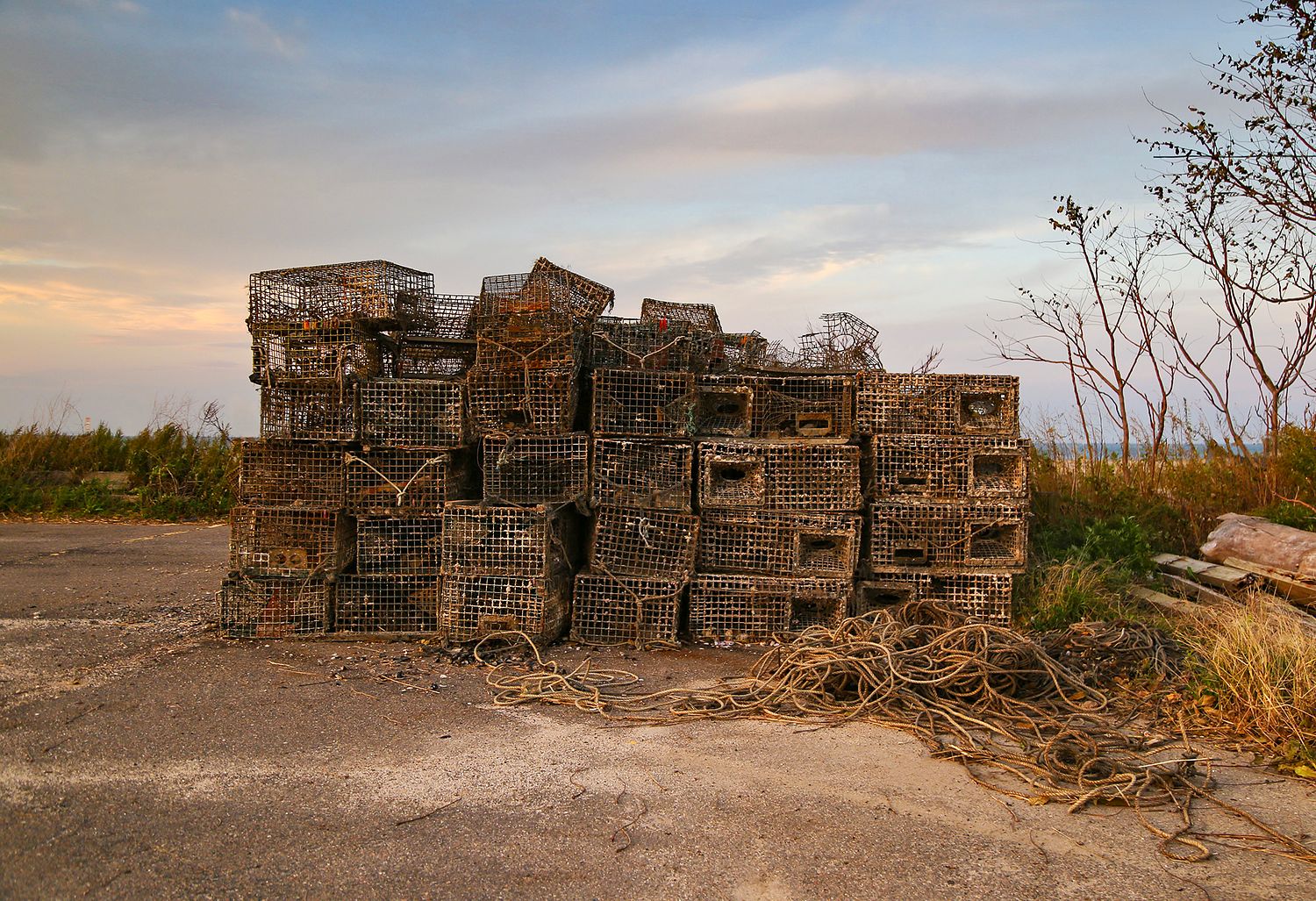 ALISON PERRY PHOTOGRAPHY