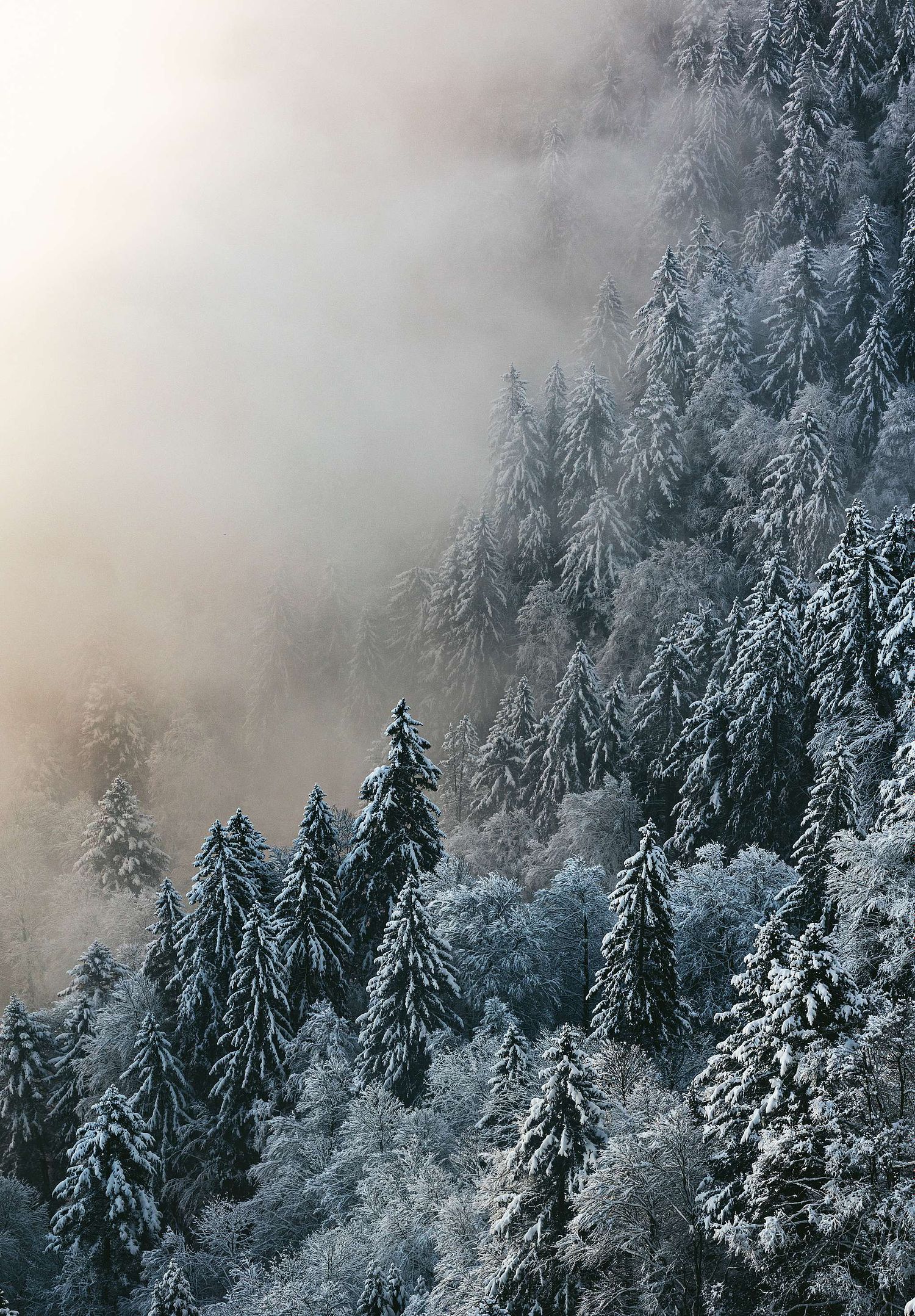 Erna Drion photography