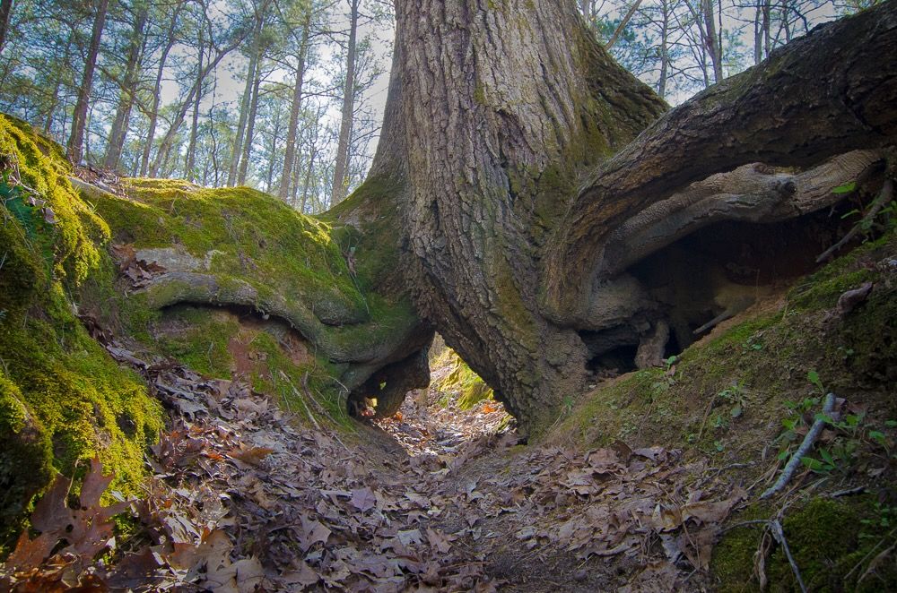 Rod Rich Photography