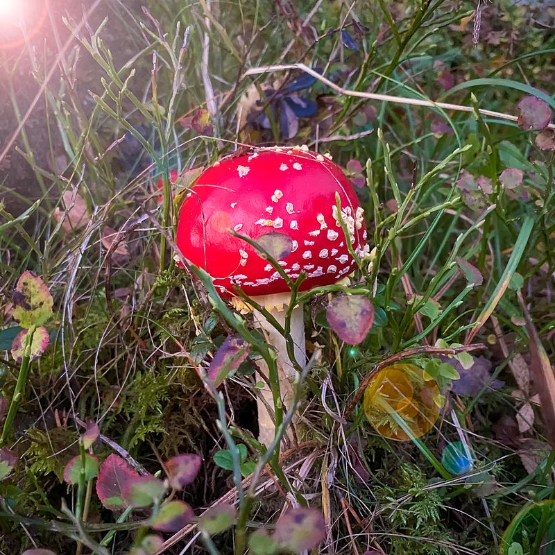 På oppdrag onsdag 7. oktober