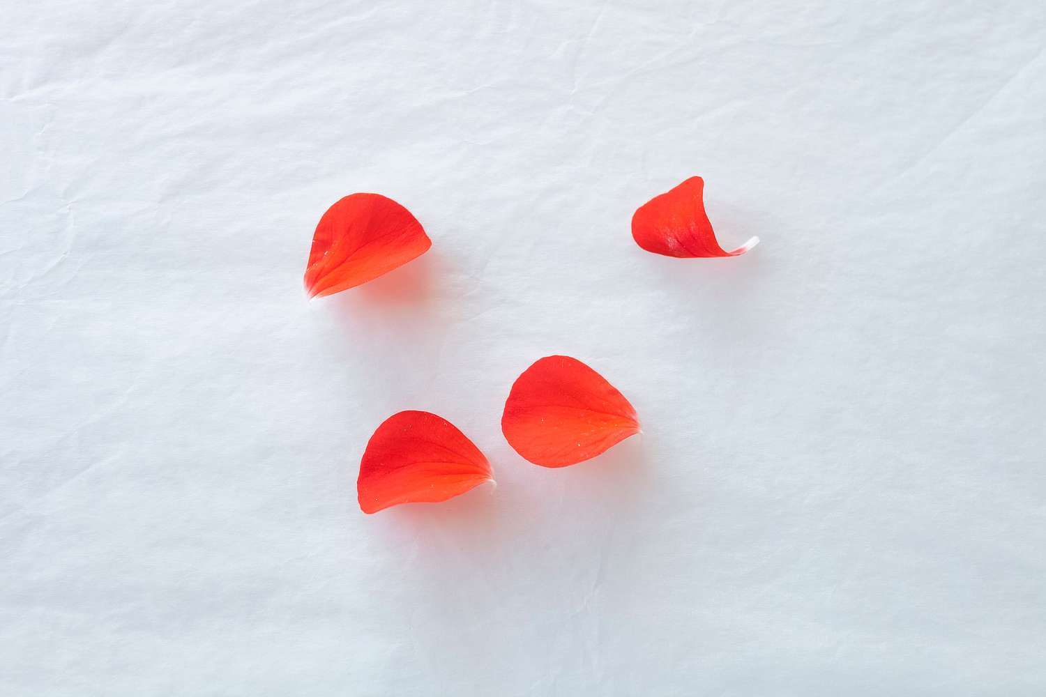 Jos&eacute; Javier Gonz&aacute;lez