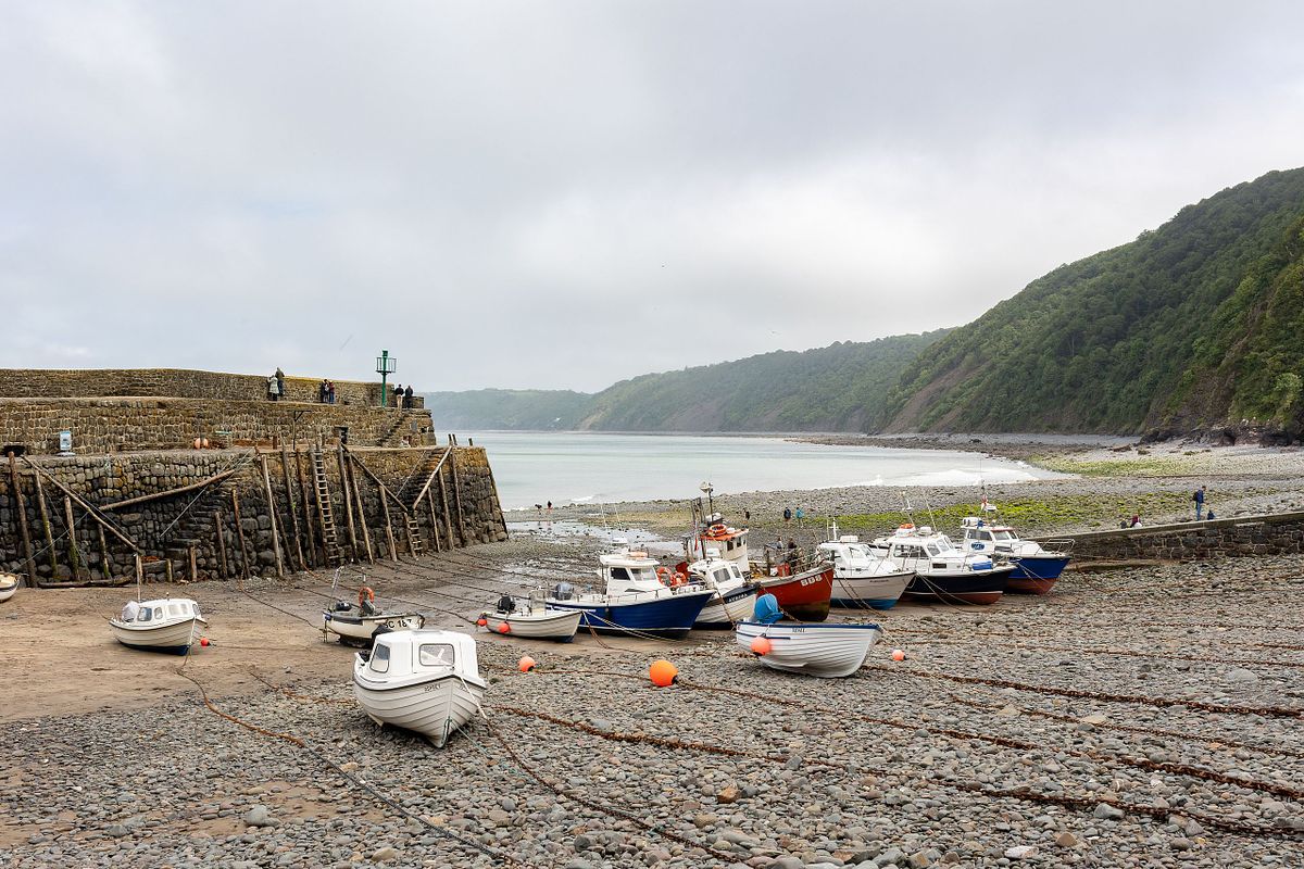 Kusthamn med b&aring;tar vid l&aring;gvatten, bred milj&ouml;bild som ger sammanhang till serien.