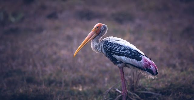 Don't Miss Your Data !