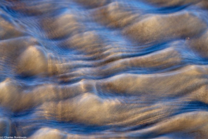 Midweek Oostelijke Waddenzee 5 dagen (4 - 8 mei 2026)