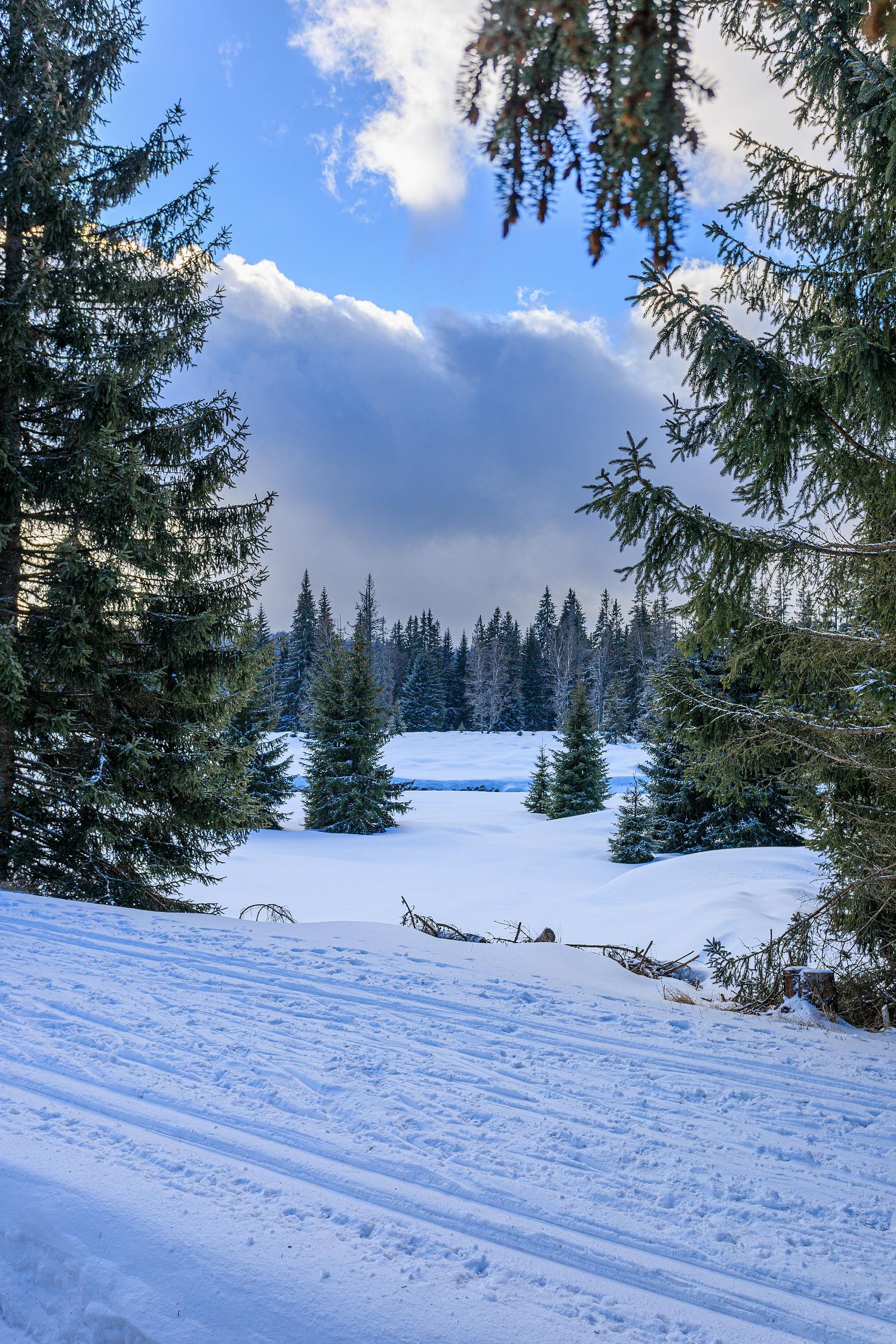 Paysage montagne neige