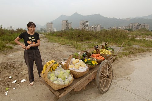 Harnaschpolder vanaf Vermeertoren