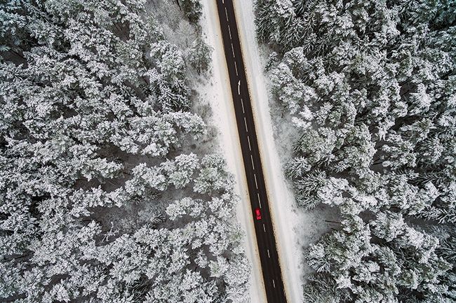 fotografía de invierno