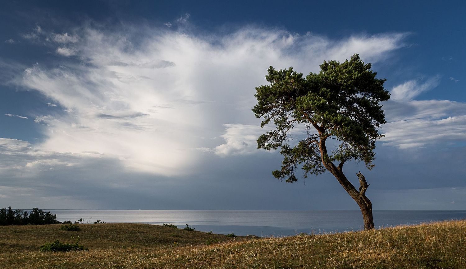 Bjarne Holmgren photography