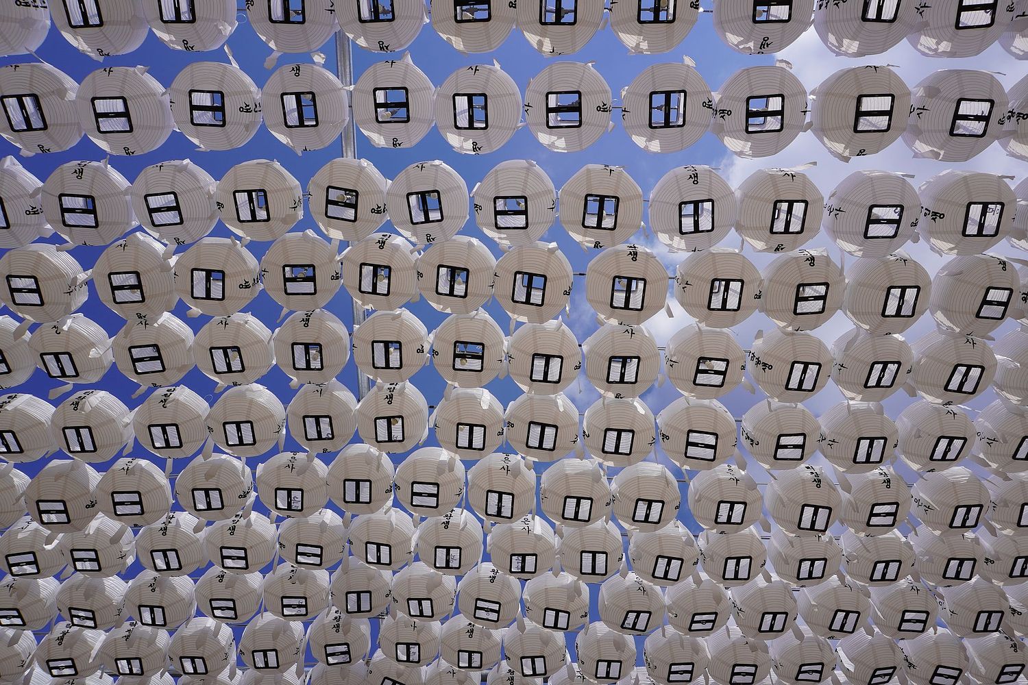 William Shihyung Kim Photos