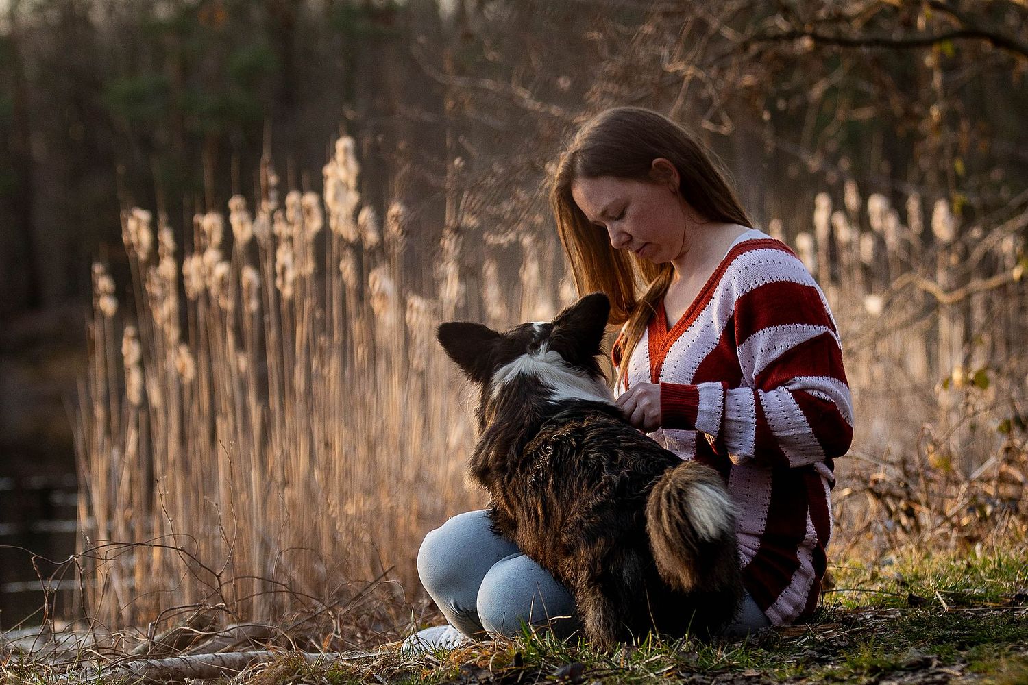 Hund mit Frau sitzend am Seeufer bei Sonnenuntergang in Brühl- Iris Sauermann Fotografie