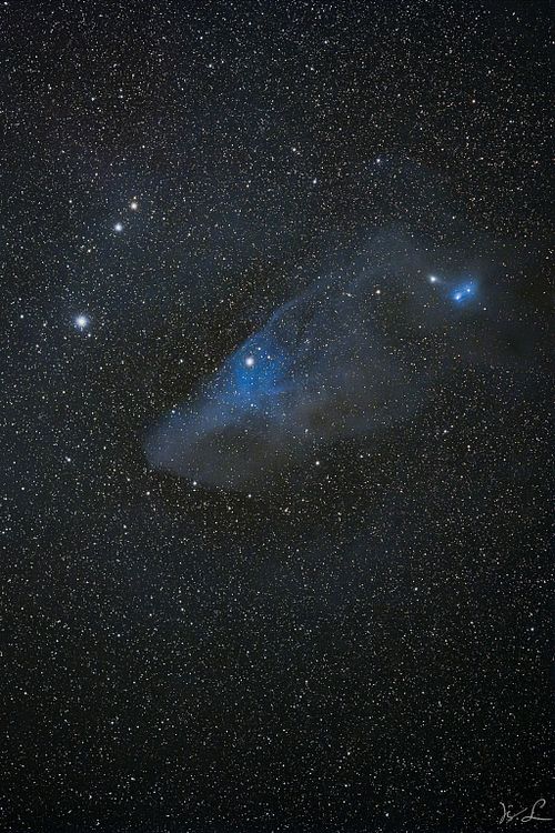 IC 4592  -  Blauer Pferdekopfnebel
