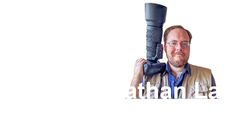 Johnathan Lau