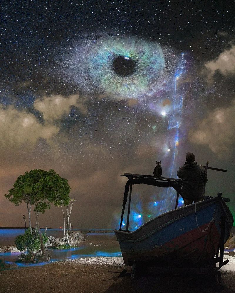 The Beauty in Our Backyard