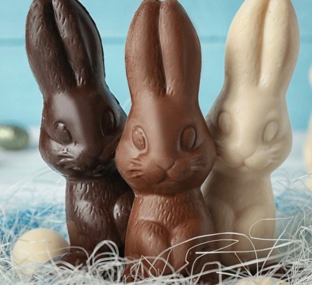 Chocolate Bunnies & Changing Times