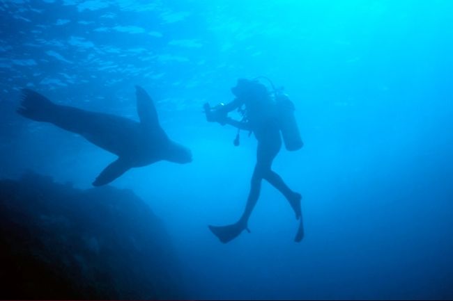 Underwater photography techniques