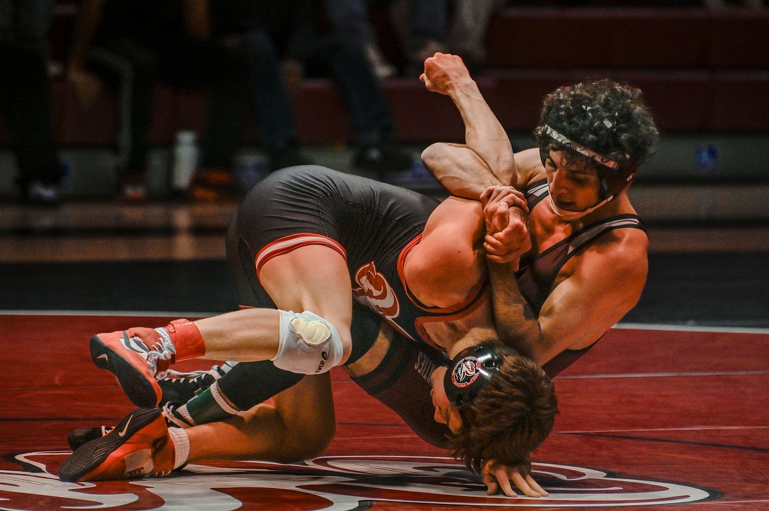 Mark Ingraham's Action & Nature Photos