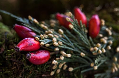 Adventskranzen kath. Pfarrei Burgdorf