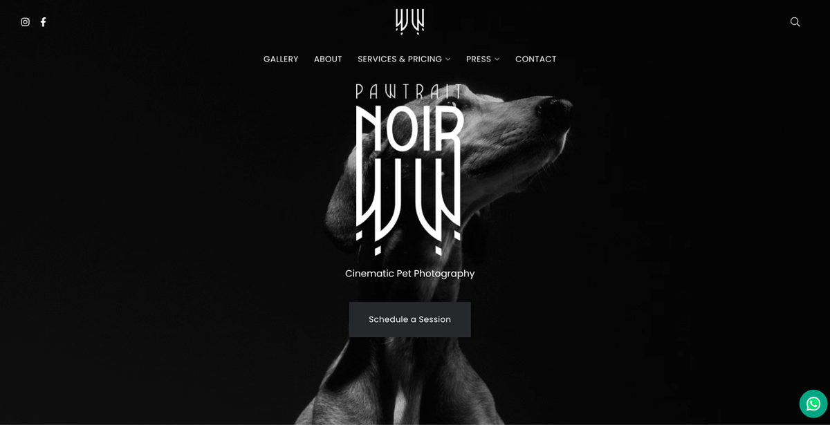 Image of Pawtrait Noir's pet photography portfolio website