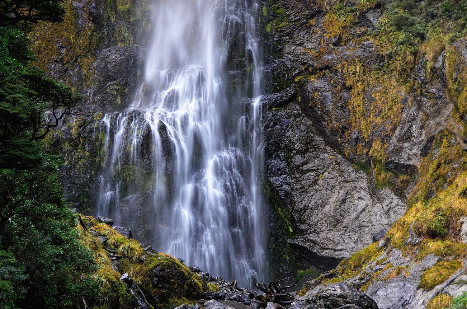 Mark Worthen Photography