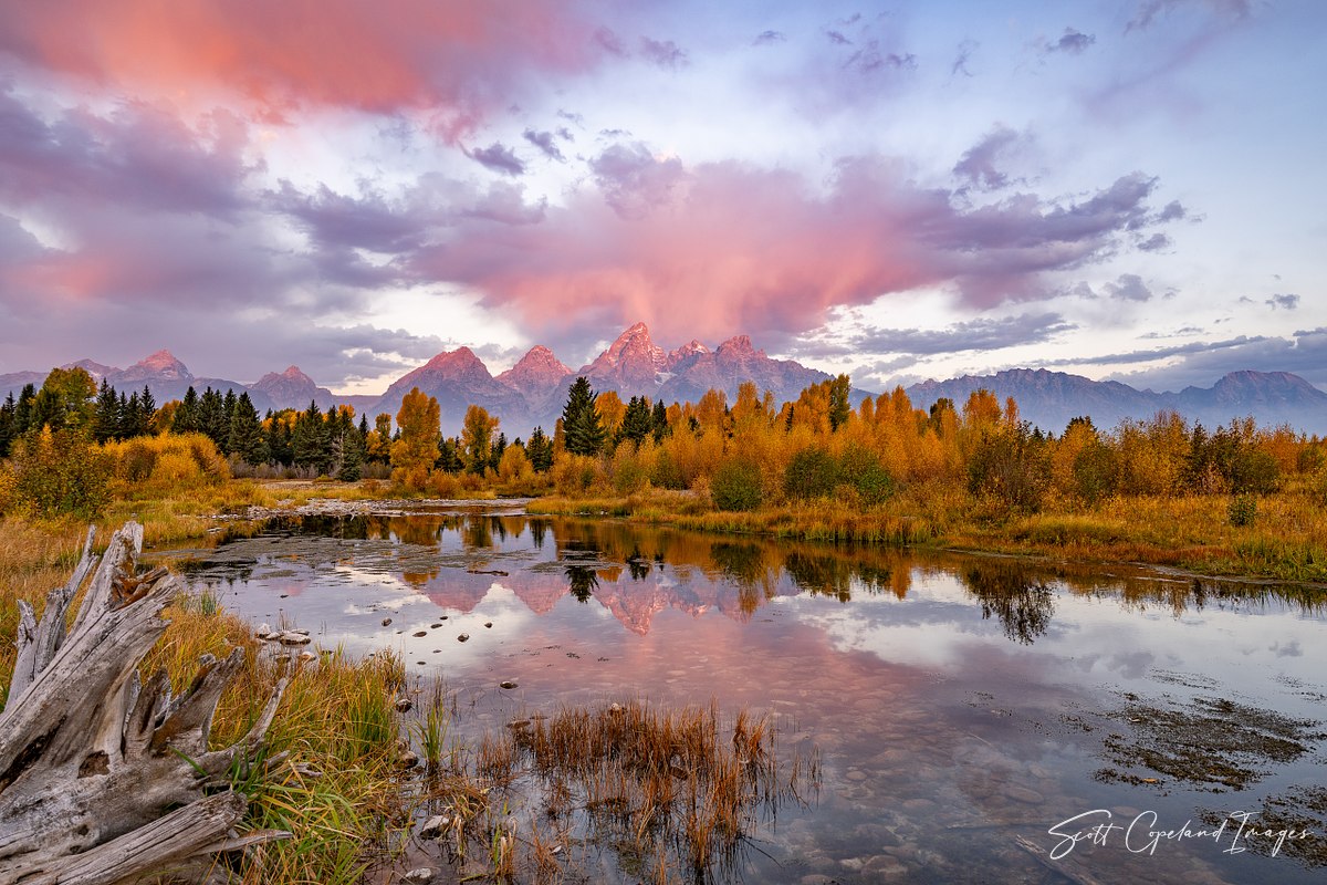Fall Color Palette