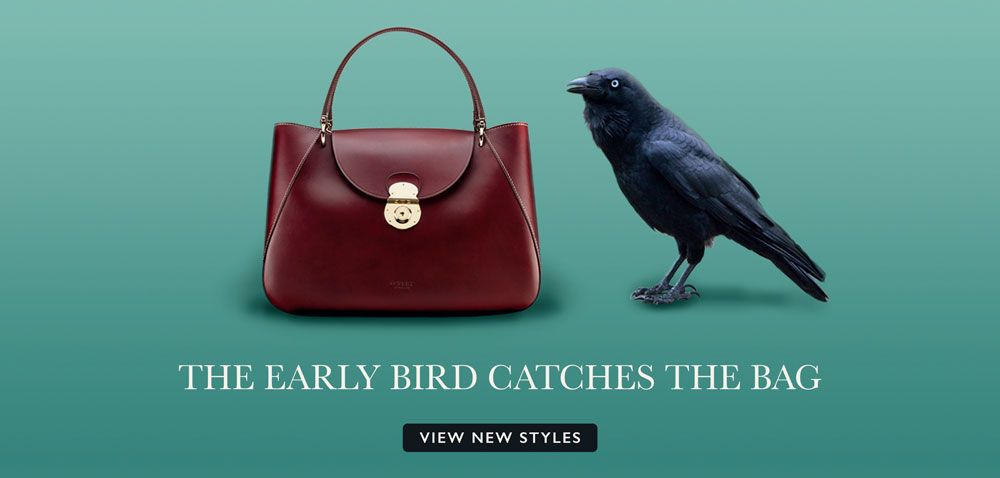 raven sat next to a burgundy leather handbag advertising New Season