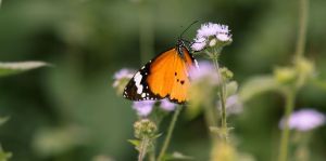 Maximise the focus & Minimise the Distraction