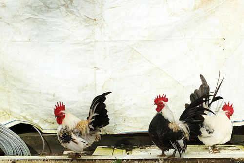 Best Travel Photographer in Delhi NCR