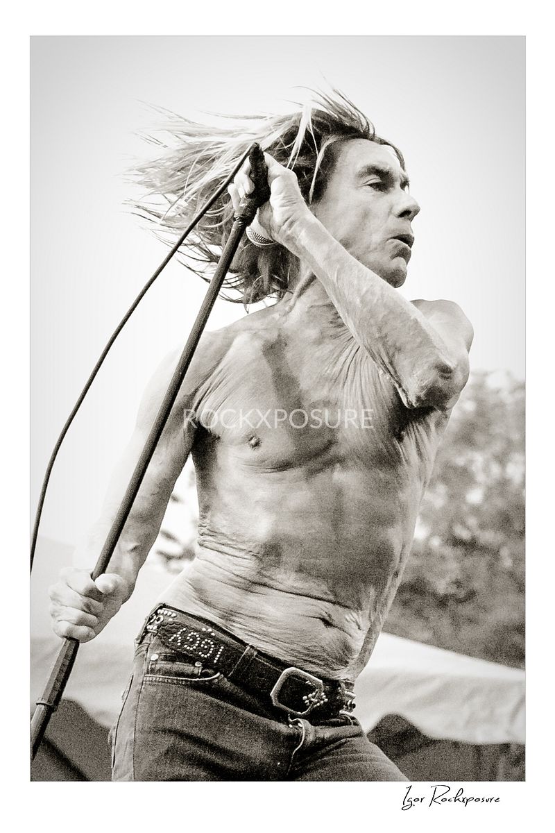 IGGY POP