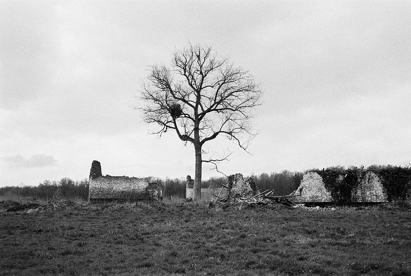 PROJECTS | MARK FITTERER