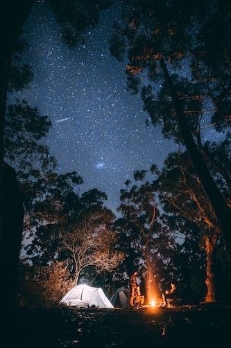 adornos naturais