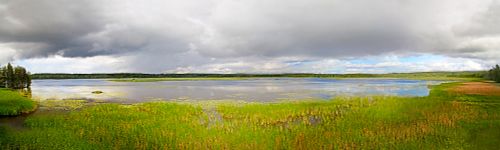 A view from Lake Ahtiala, 2017