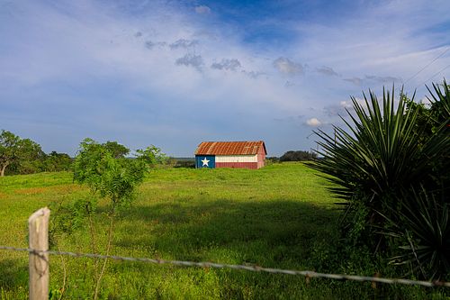 A wide landscape view of a Texas Flag barn in a green field with wildflowers, framed by a Yucca plant and trees in Burnet County.