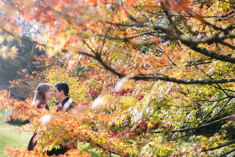Falling in Love with Autumn: A Mount Wilson Engagement Session