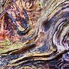 Abstracte natuurfotografie (4 juli 2026)