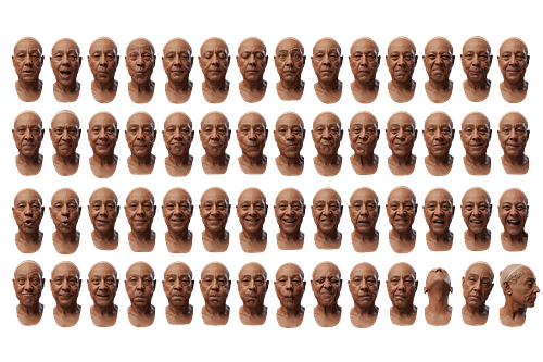 FACS and Digital Doubles