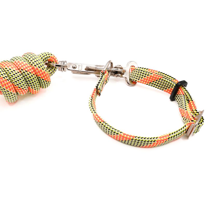 SwiftRelease™ Agility Lead + Collar - Citrus Splash - Pre-Made