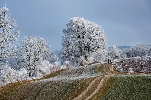 Kapelle Wilder Geschinen